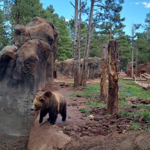 Meet your Posher, Raquel - Picture 1 of 1